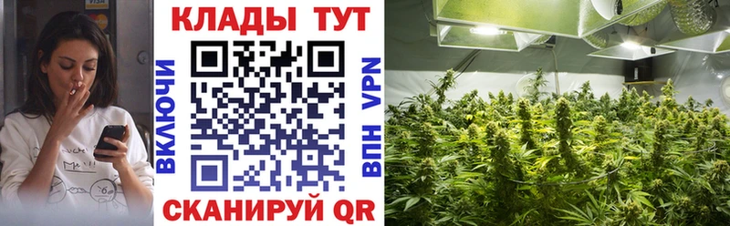Сколько стоит Соль-Илецк МАРИХУАНА  МЕФ  APVP  Псилоцибиновые грибы  ГАШ 