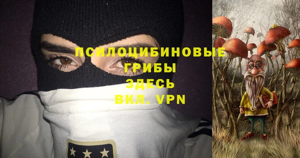 крисы Беломорск