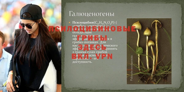 крисы Беломорск