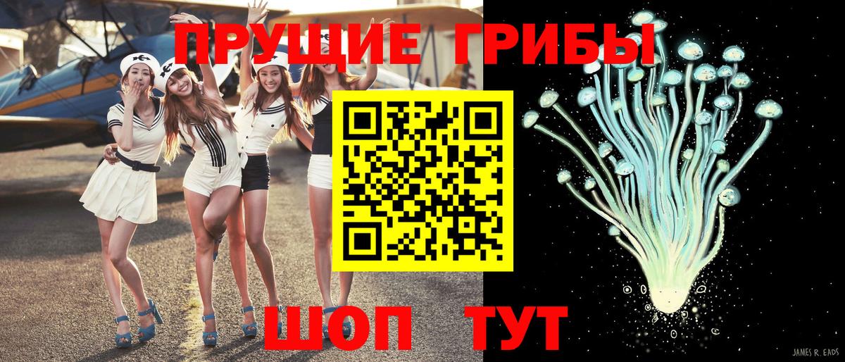 Галлюциногенные грибы прущие грибы  Вход с VPN  Соль-Илецк 