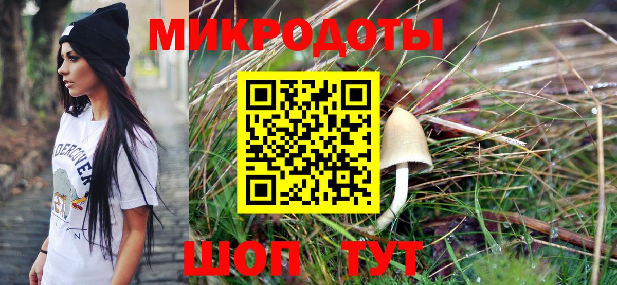 Псилоцибиновые грибы прущие грибы Соль-Илецк